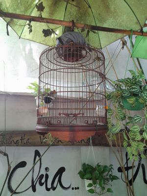  at Phuong Mai Vegetarian Restaurant in Ho Chi Minh City