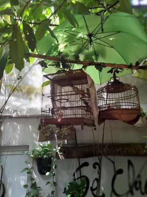  at Phuong Mai Vegetarian Restaurant in Ho Chi Minh City