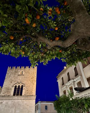 We zaten onder een sinaasappelboompje  at Licchio's Bar in Taormina