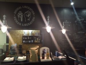 Ordering counter at Black Mamba Burgers and Records in Porto