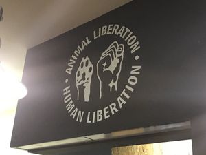 Cool vibe at Black Mamba Burgers and Records in Porto