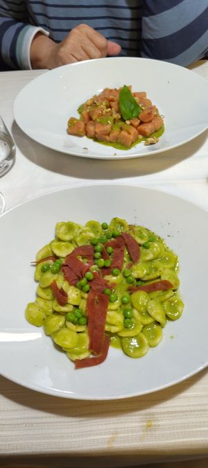 Orecchiette with pea crema and red gnocchi w tomato & basilica at Ristorante Da Mario alla Fava in Venice