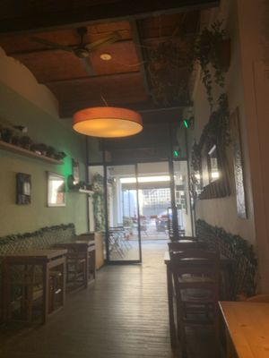   at Il Vegano Bistrot in Florence