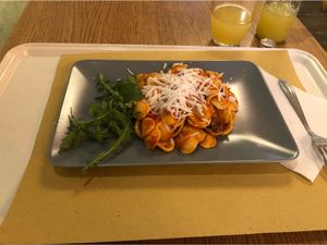 Orecchiette pasta  at Il Vegano Bistrot in Florence