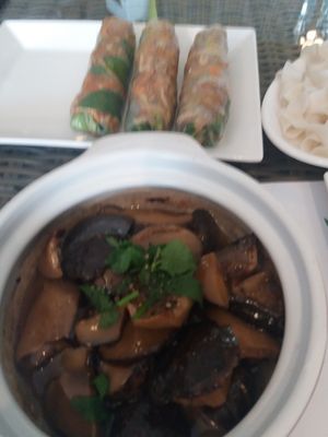 Baled shitake and fresh spring rolls at Veggie House in Canley Vale