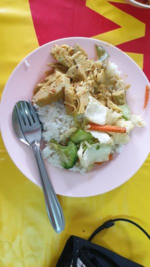 Rice + spicy jackfruit + vegetables with tofu at Vegetarian Food - Rama VI Rd in Trang