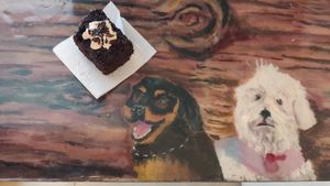 Dogs Sebastian at Corazón Animal Vegano in Bogota