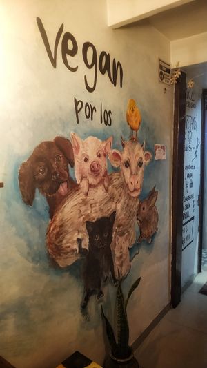 Vegan por los animales 🐷🐁🐇🐄🐂🐎🐑🐔🐟 at Corazón Animal Vegano in Bogota