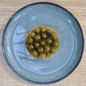 Yakushima Tarte at Greendot 绿一点 - Paya Lebar in Central Singapore