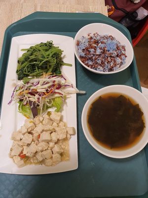 Brown rice set at Kampung Senang EcoHarmony Cafe 轻安地球村 in Central Singapore