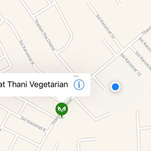 Actual location in the blue dot. (north up) at SuratThani Vegetarian in Surat Thani