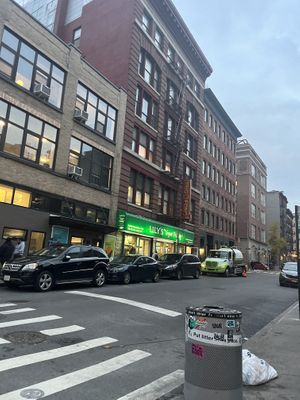   at Lily's Vegan Pantry in New York City