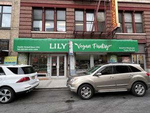   at Lily's Vegan Pantry in New York City