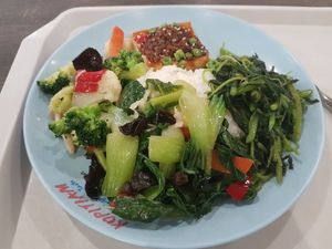 Rice with vegetables and Tofu (5.70$) at SIN - Ba Fang Vegetarian 八方素食 - T2 in East Singapore