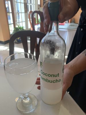 Home-brew coconut Kombutcha  at Lov'n It Live in East Point