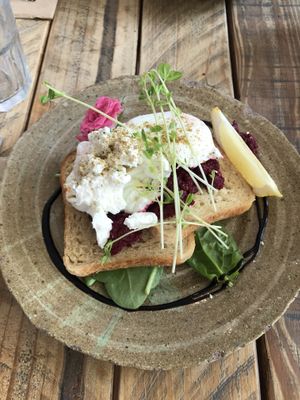 Poached eggs with beetroot  at Greenhouse Cafe in Caloundra