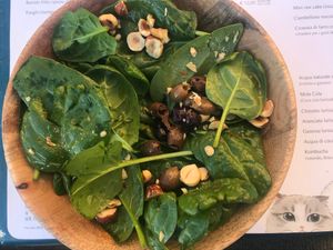 Spinach salad with pink grapefruit dressing  at Romeow Cat Bistrot in Rome