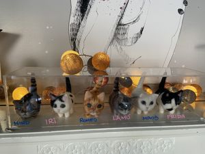 I Romei 😻 at Romeow Cat Bistrot in Rome