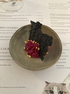 Starter at Romeow Cat Bistrot in Rome