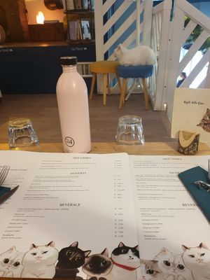 Set menu #Veganuary at Romeow Cat Bistrot in Rome