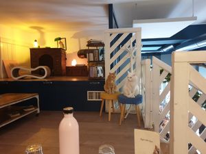 Two of 5 cats saying hello:) #Veganuary at Romeow Cat Bistrot in Rome