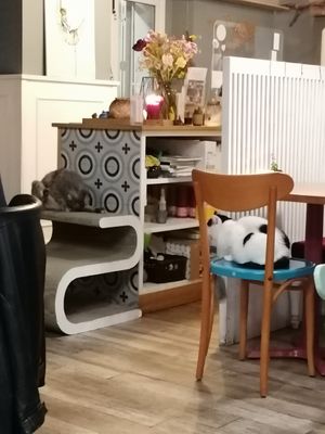  at Romeow Cat Bistrot in Rome