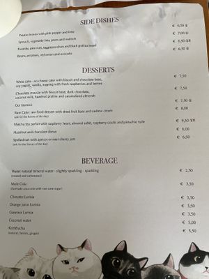   at Romeow Cat Bistrot in Rome