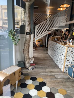   at Romeow Cat Bistrot in Rome