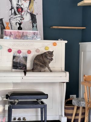   at Romeow Cat Bistrot in Rome