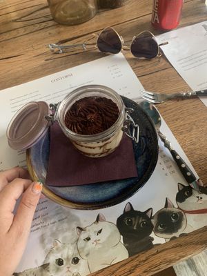   at Romeow Cat Bistrot in Rome