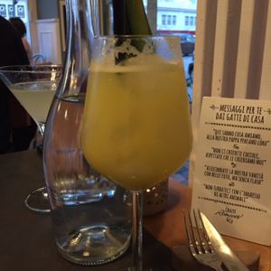 tasty cocktail and house rules at Romeow Cat Bistrot in Rome