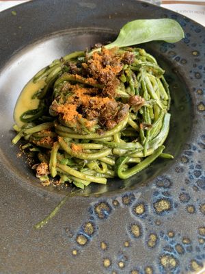   at Romeow Cat Bistrot in Rome