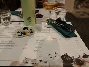  at Romeow Cat Bistrot in Rome