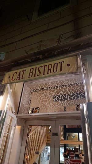  at Romeow Cat Bistrot in Rome