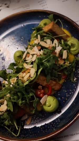  at Romeow Cat Bistrot in Rome