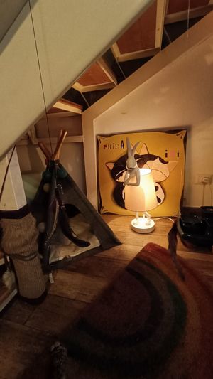  at Romeow Cat Bistrot in Rome