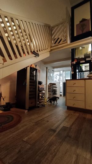  at Romeow Cat Bistrot in Rome