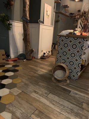   at Romeow Cat Bistrot in Rome