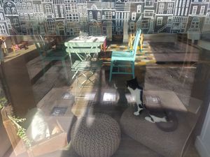 Locations at Romeow Cat Bistrot in Rome