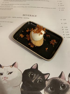   at Romeow Cat Bistrot in Rome