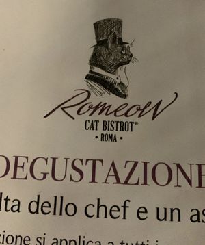   at Romeow Cat Bistrot in Rome