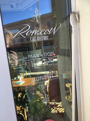   at Romeow Cat Bistrot in Rome