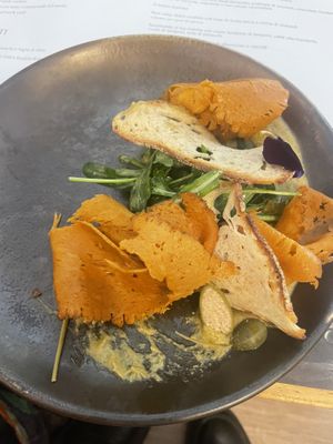   at Romeow Cat Bistrot in Rome