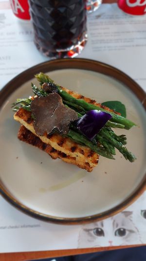  at Romeow Cat Bistrot in Rome