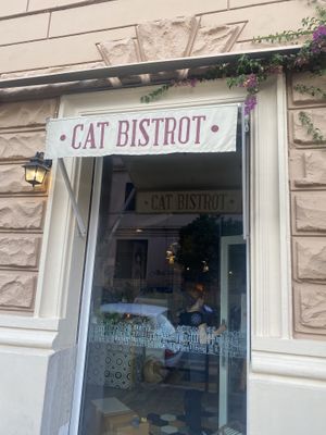 Cat Bistrot  at Romeow Cat Bistrot in Rome