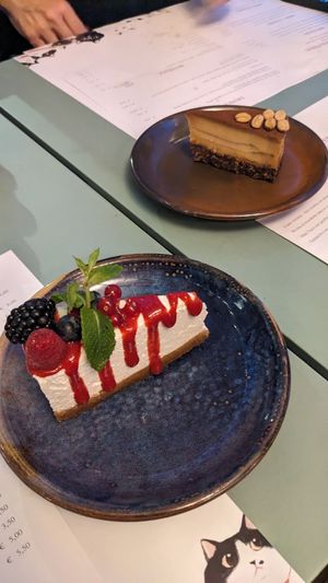  at Romeow Cat Bistrot in Rome