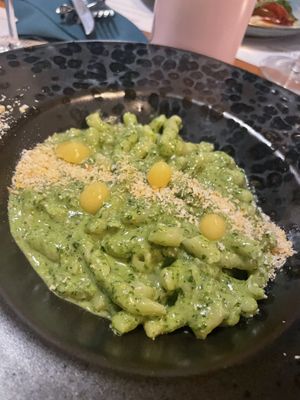   at Romeow Cat Bistrot in Rome