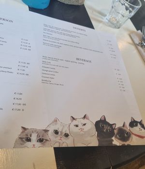  at Romeow Cat Bistrot in Rome