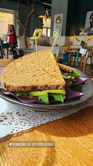  at Romeow Cat Bistrot in Rome