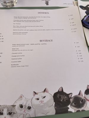   at Romeow Cat Bistrot in Rome